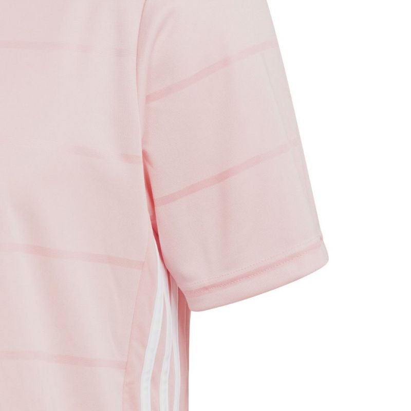 Adidas discount campeon pink