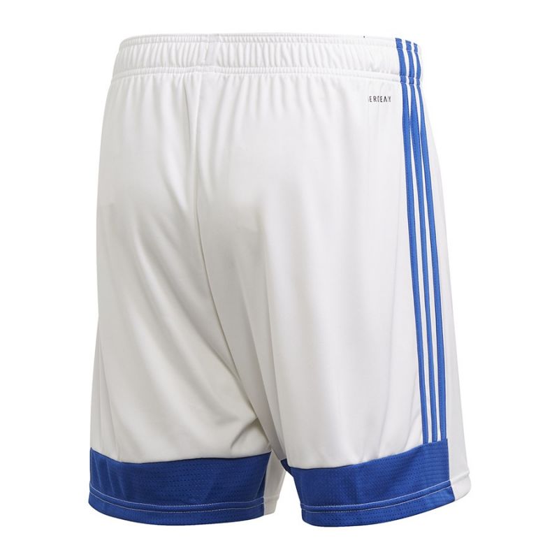 Tastigo 19 Shorts