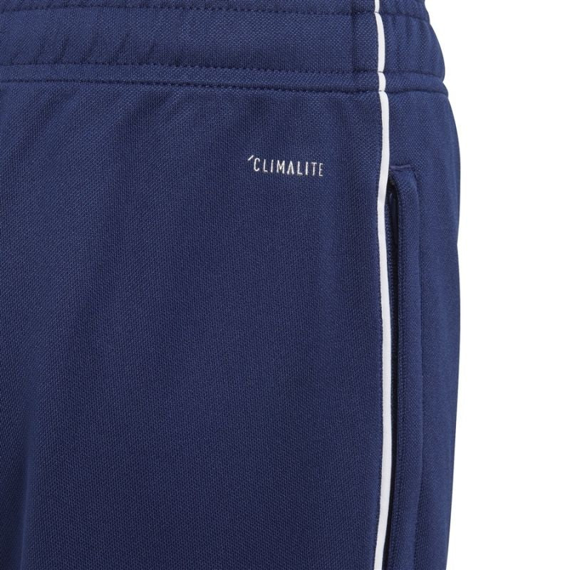 Adidas regista 18 pants hot sale