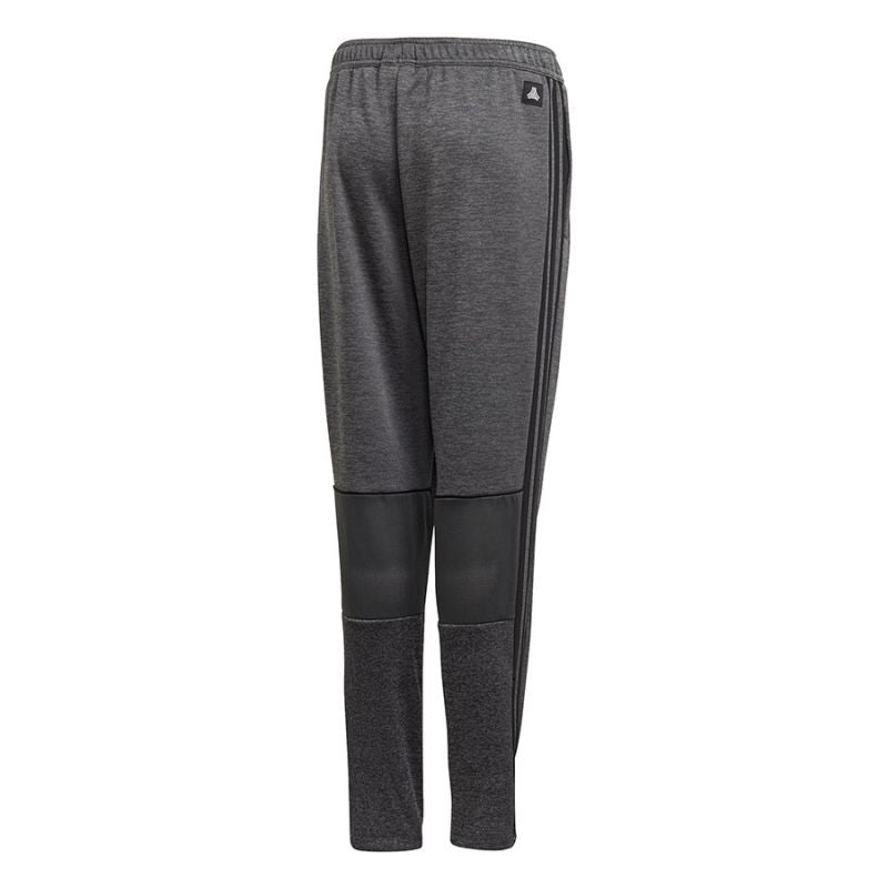 Adidas tan tr pant top